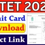 CTET Admit Card Download
